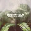 Anh Thai & Paul the Messenger - Overwhelm - Single